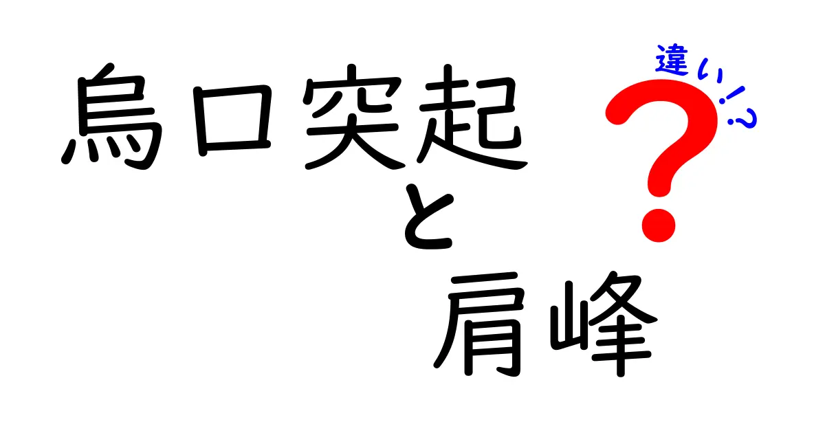烏口突起と肩峰の違いを図解で理解する：場所・役割・怪我のポイントを中学生にもわかりやすく解説