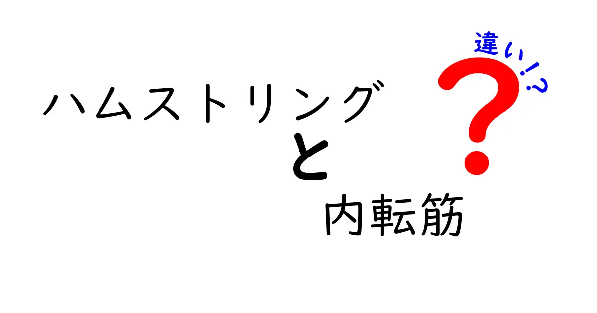 ハムストリングと内転筋の違いを徹底解説！スポーツ別の使い分けとケガ予防の秘訣