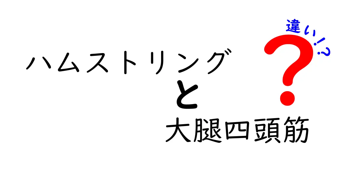 ハムストリングと大腿四頭筋の違いを徹底解説 中学生にもわかるポイント