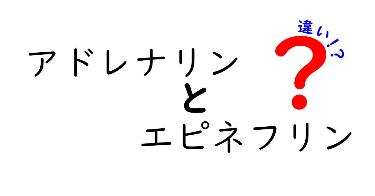 アドレナリンとエピネフリンの違いを完全解説！名前の謎から医療での使い方まで
