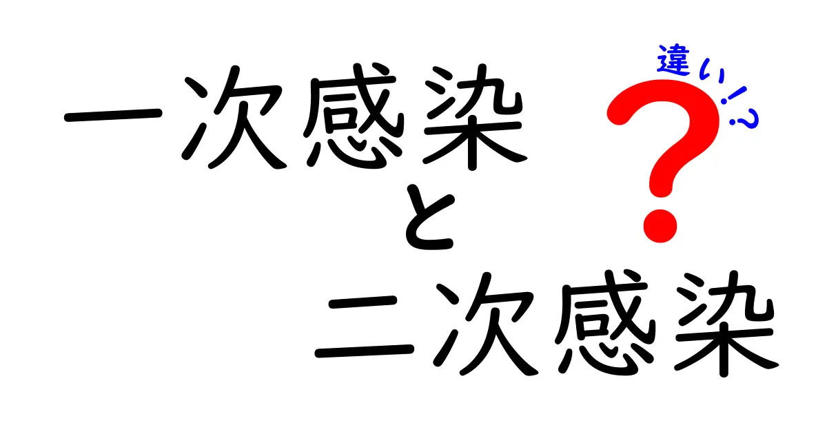 一次感染と二次感染の違いを徹底解説！中学生にも分かるポイント