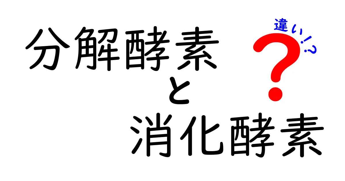 分解酵素と消化酵素の違いを徹底解説！中学生にもわかるやさしい解説と日常のヒント