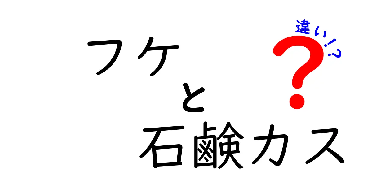 フケと石鹸カスの違いを図解で理解する！見分け方と正しいケアのコツ
