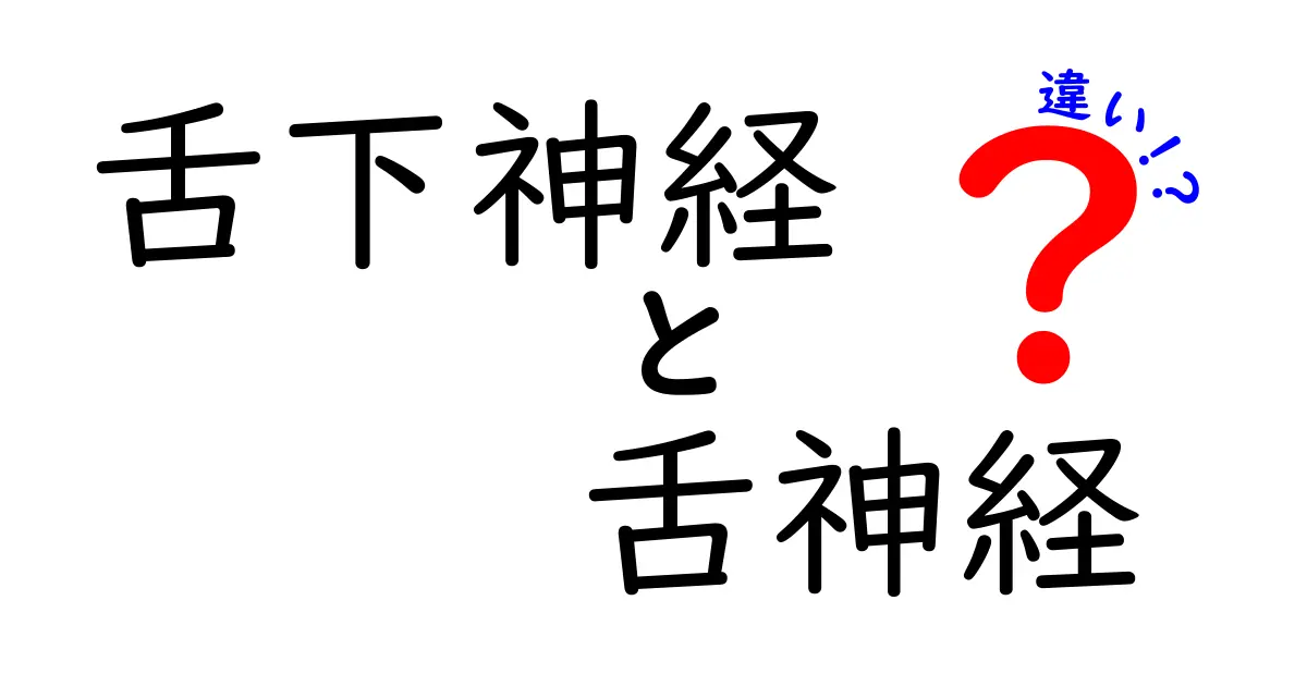 舌下神経と舌神経の違いを一発で理解！運動と感覚の役割をわかりやすく解説