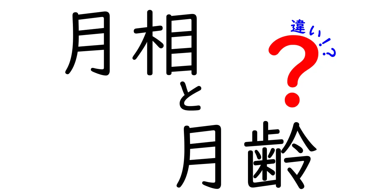 月相と月齢の違いをわかりやすく解説｜月のリズムを理解するヒント