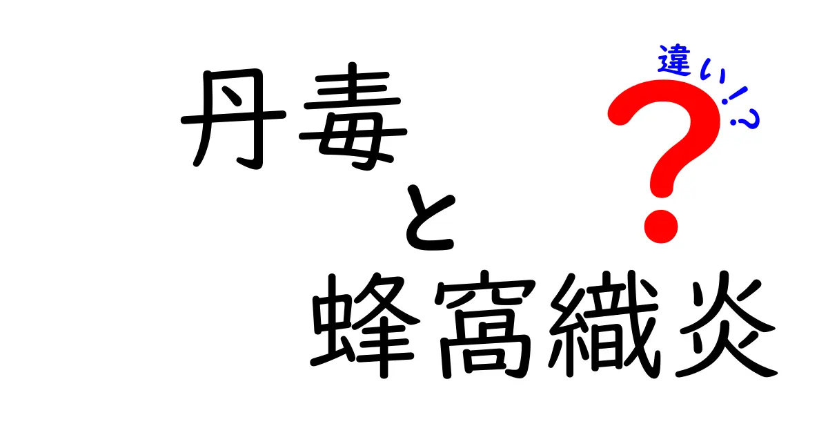 丹毒と蜂窩織炎の違いを徹底解説！見分け方と治療のポイントを中学生にもわかるレベルで解説