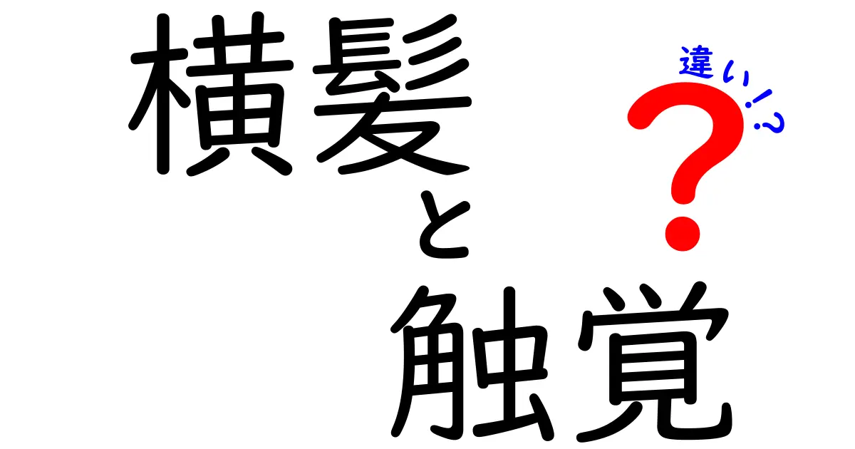 横髪と触覚の違いを徹底解説！髪型の話と感覚の秘密を中学生にもわかりやすく