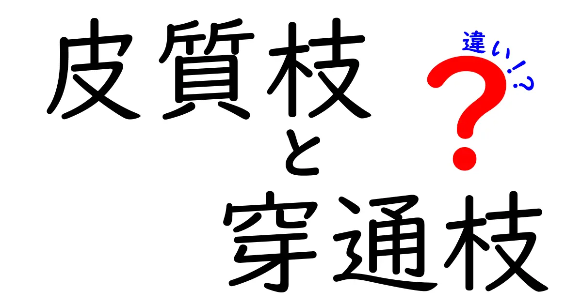 皮質枝と穿通枝の違いを徹底解説！脳の表と深部を結ぶ小さな道を学ぼう