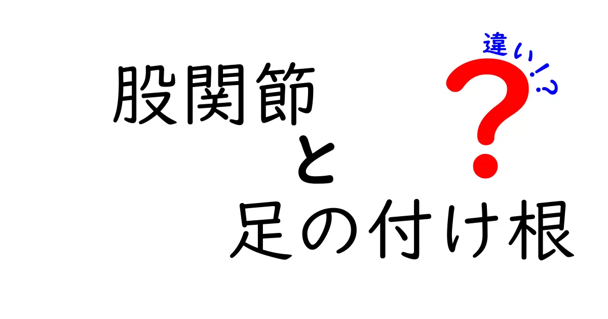 股関節と足の付け根の違いを徹底解説｜痛みの原因を見分ける基本ポイント