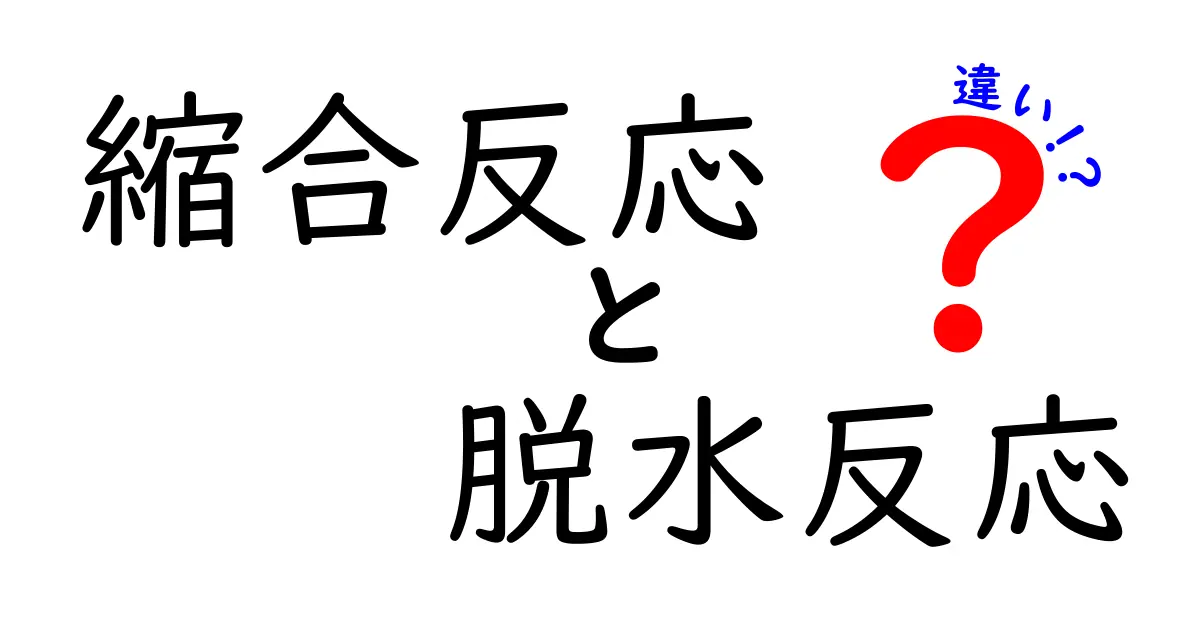 縮合反応と脱水反応の違いを徹底解説！中学生にもわかるポイント比較