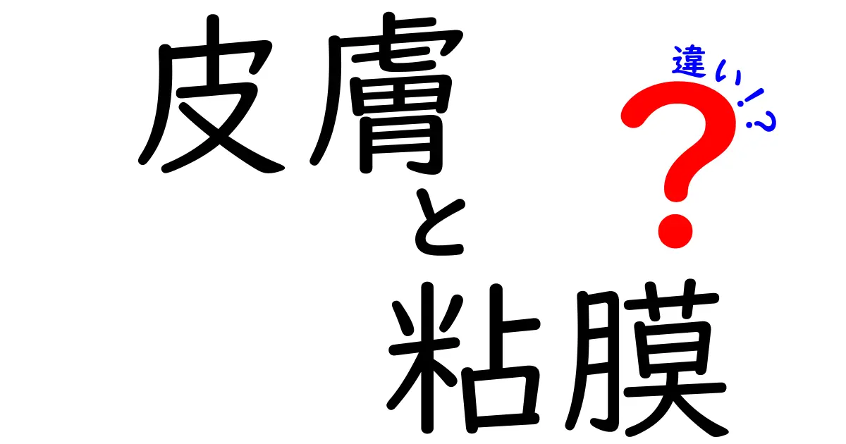皮膚と粘膜の違いを徹底解説！中学生にも分かる基本ガイド