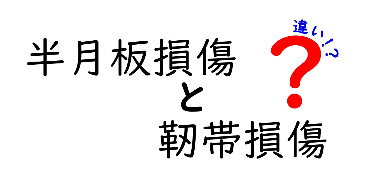 半月板損傷と靭帯損傷の違いを徹底解説！痛み・腫れ・治療のポイントをわかりやすく
