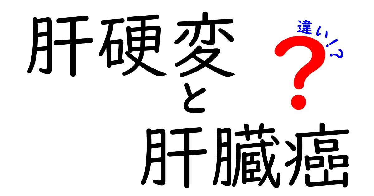肝硬変と肝臓癌の違いを徹底解説｜見分け方と早期発見のポイント