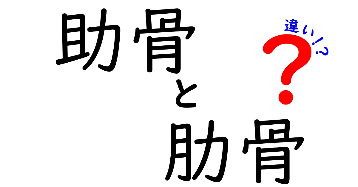 助骨と肋骨の違いを徹底解説！名前の由来と日常の使い分けを中学生にも分かる解説