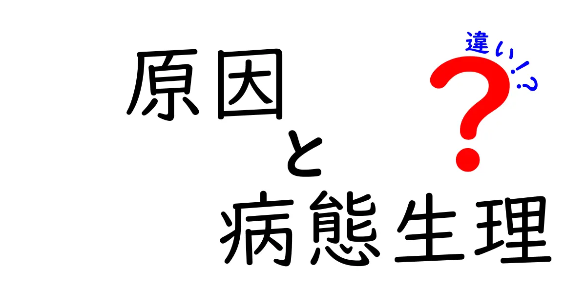 原因と病態生理の違いを徹底解説！中学生にも伝わるポイントと日常のヒント
