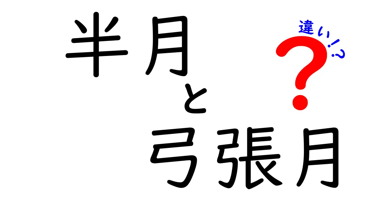 半月と弓張月の違いがひと目でわかる！月の形を見間違えないための必読ガイド