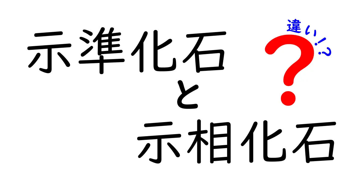 示準化石と示相化石の違いを完全解説！いつ使うのか？中学生にもわかる地質入門