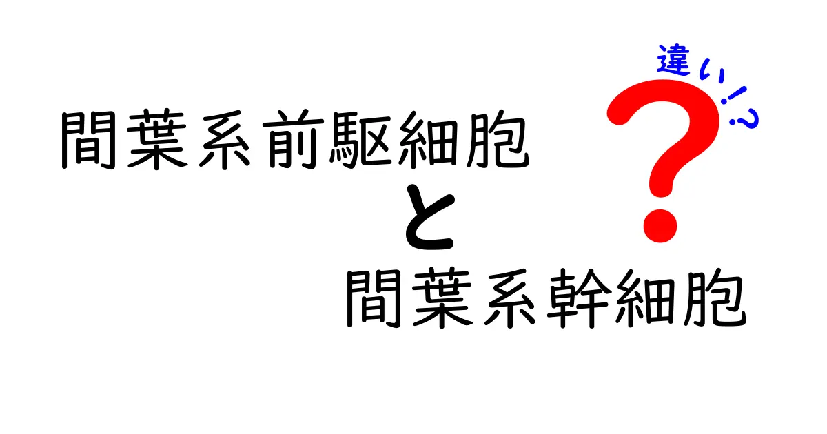 間葉系前駆細胞と間葉系幹細胞の違いをわかりやすく解説！