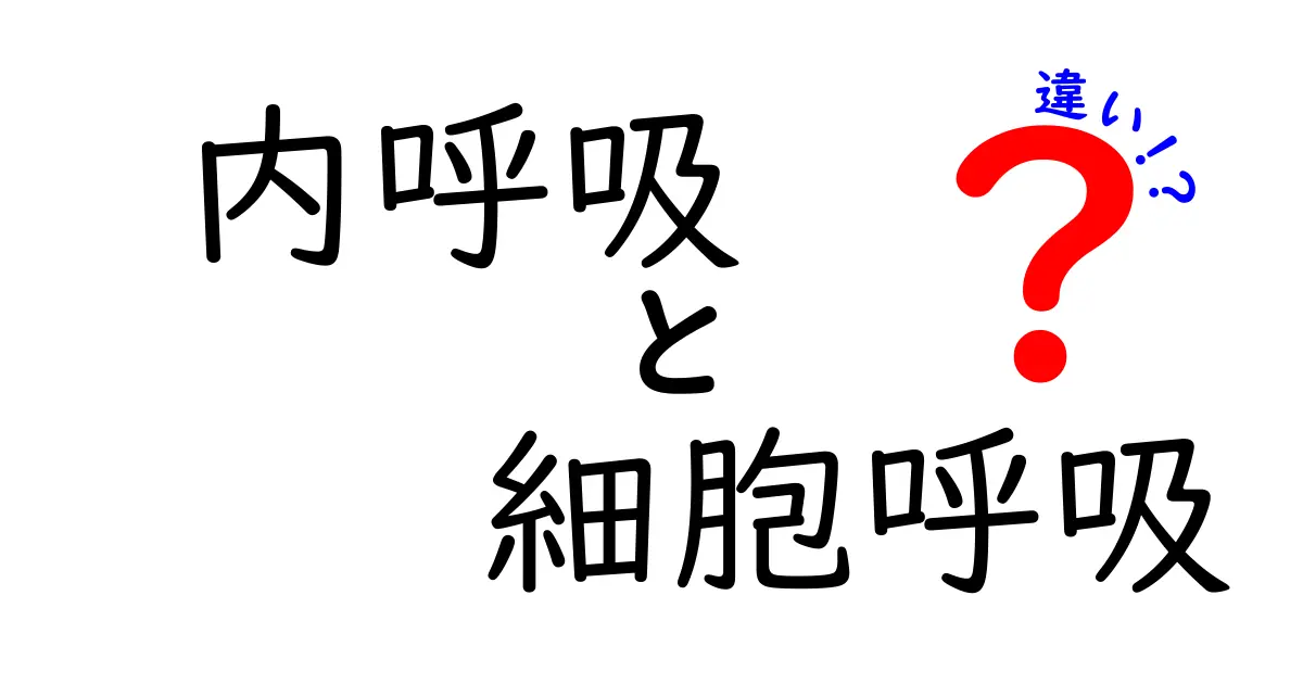 内呼吸と細胞呼吸の違いを徹底解説！中学生にもわかる分かりやすいポイントまとめ