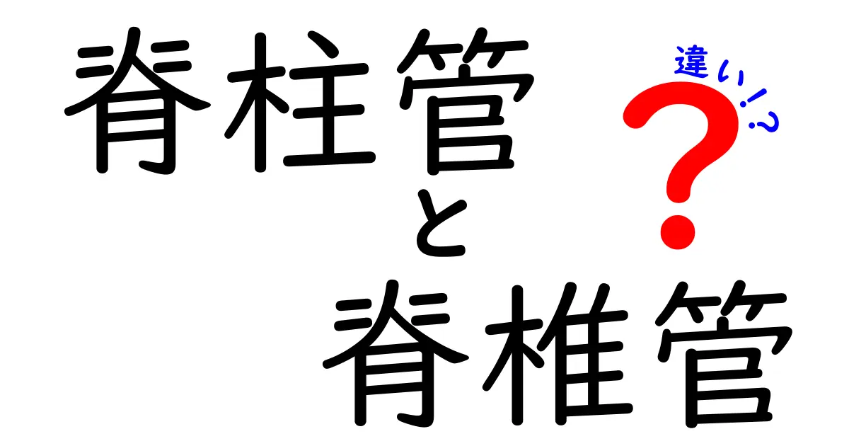 脊柱管と脊椎管の違いを徹底解説！名前が似ていても意味が違う理由とは