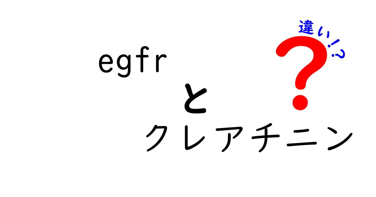 egfrとクレアチニンの違いを徹底解説—検査結果の読み方と日常生活への影響