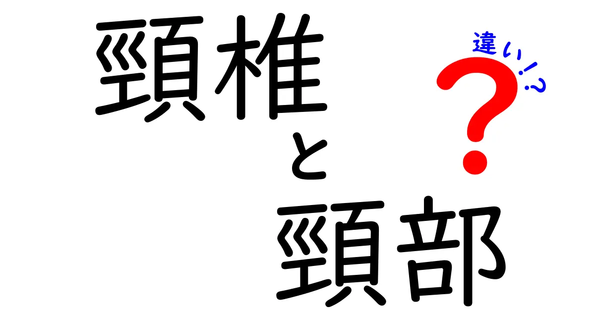 頸椎と頸部の違いを徹底解説！医療用語と日常語の使い分けをわかりやすく