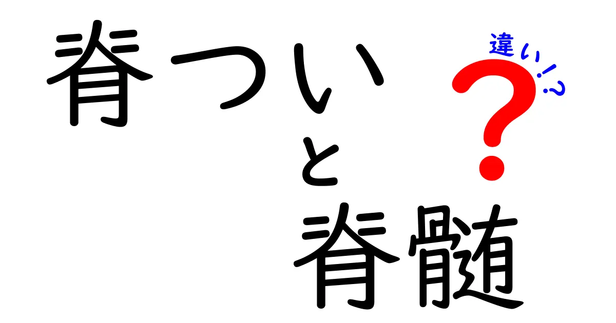脊椎と脊髄の違いを中学生にもわかる図解つきで解説