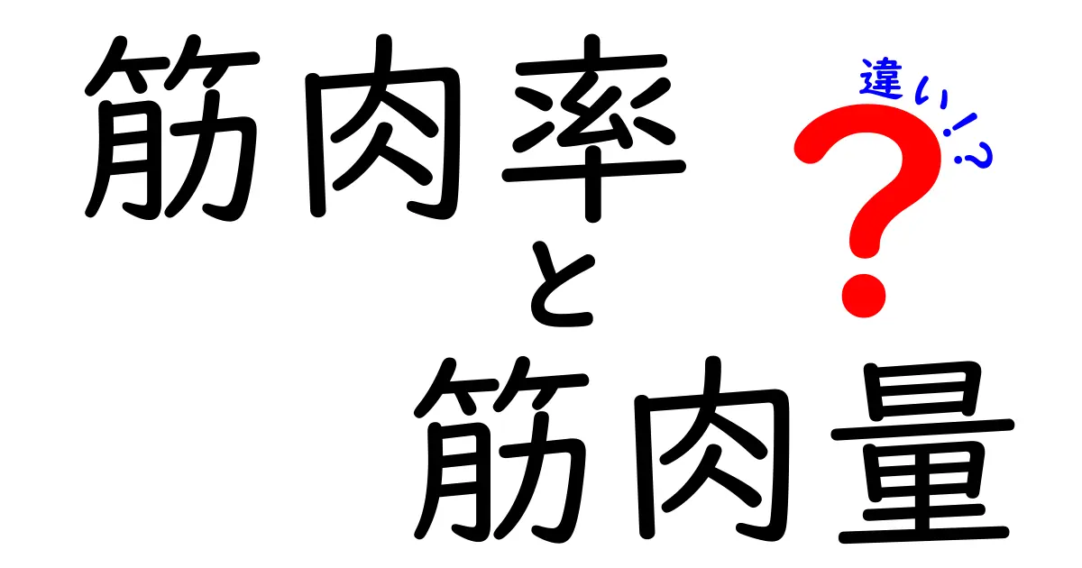 筋肉率と筋肉量の違いを徹底解説！数字の意味と測定方法を分かりやすく理解するには