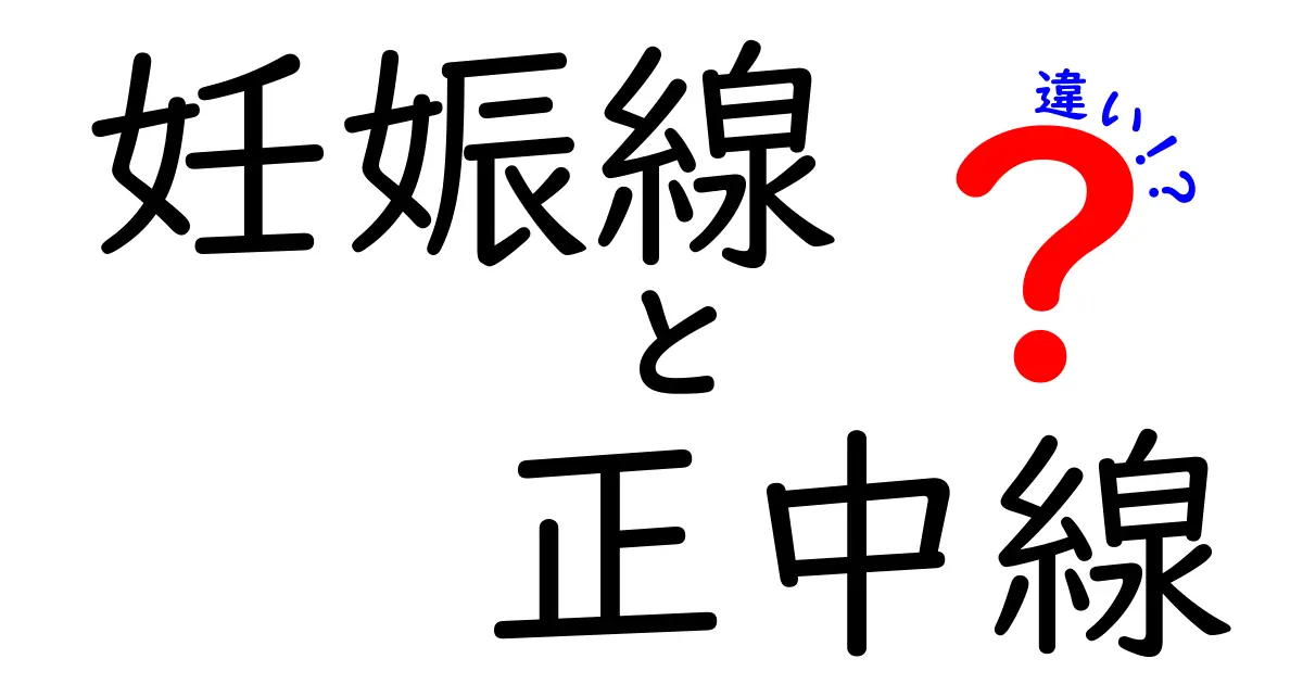 妊娠線と正中線の違いを徹底解説｜見分け方・原因・ケアのポイントを中学生にもわかる言葉で