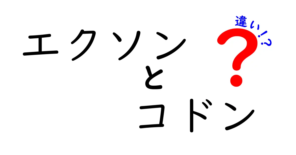 エクソンとコドンの違いを徹底解説｜DNAの読み方をやさしく理解する入門ガイド