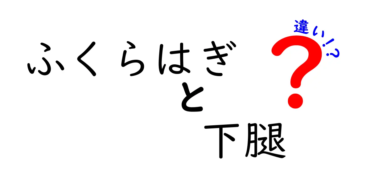 ふくらはぎと下腿の違いを徹底解説！見分け方とケアのポイント