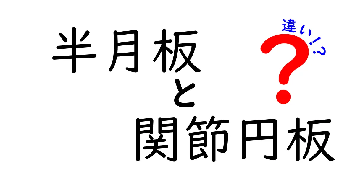 半月板と関節円板の違いを徹底解説｜中学生にもわかる膝と顎のしくみ