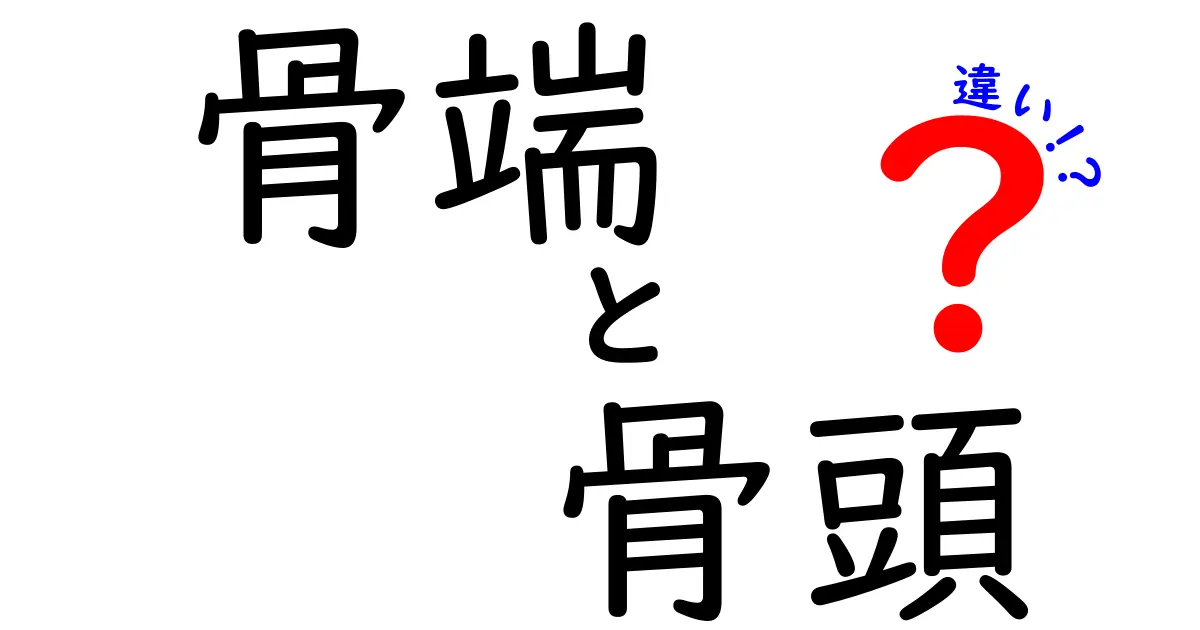 骨端と骨頭の違いを徹底解説：見分け方と日常での活用ポイント