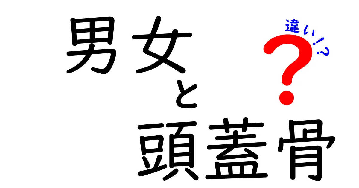 男女の頭蓋骨の違いはあるのか？ 科学が教える本当のところ