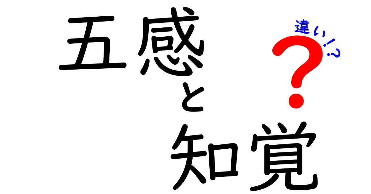 五感と知覚の違いを完全解説！中学生にも分かる感覚の仕組みと日常の見分け方
