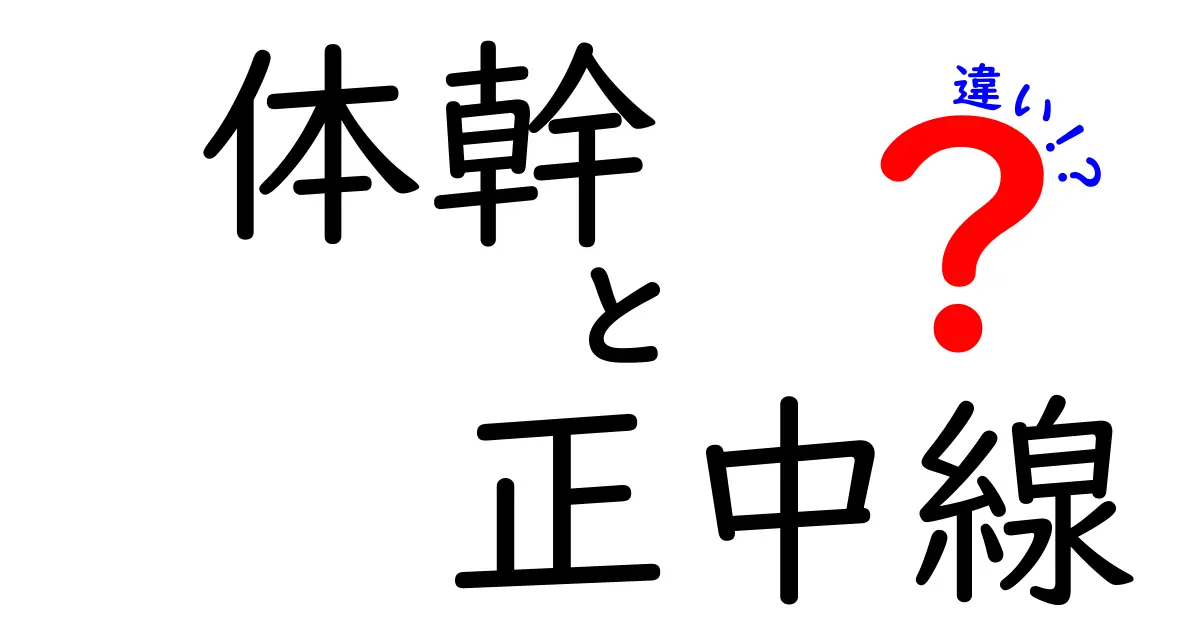 体幹と正中線の違いを徹底解説！中学生にも分かる身体の基準と使い方