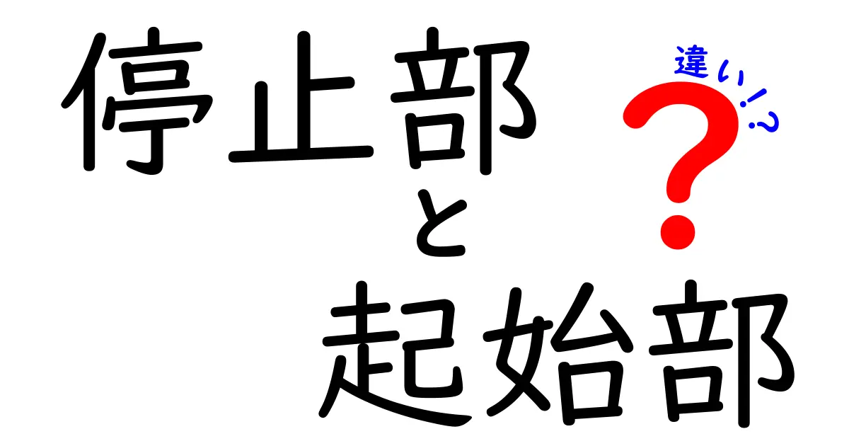 停止部と起始部の違いを徹底解説！中学生にもわかる図解つきの超分かりやすい解説