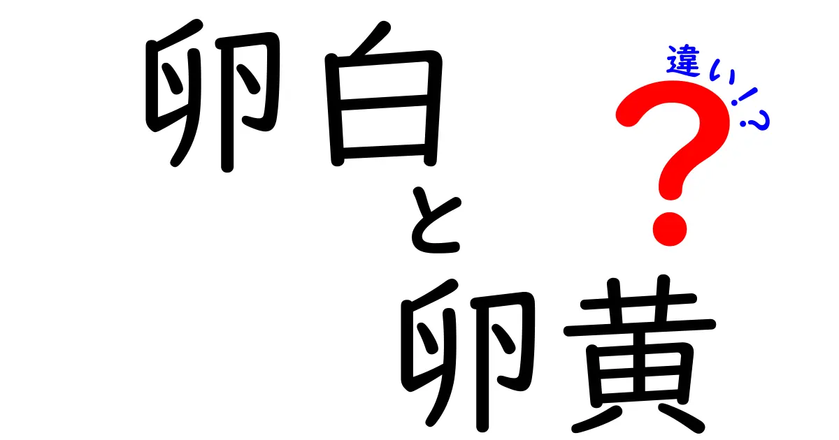 卵白と卵黄の違いを徹底解説｜基本から使い分けのコツまで