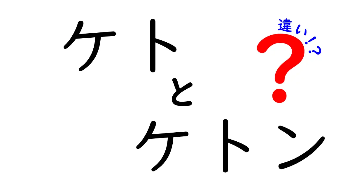 ケトとケトンの違いを徹底解説！意味・使い方・覚え方を中学生にも分かる図解つき