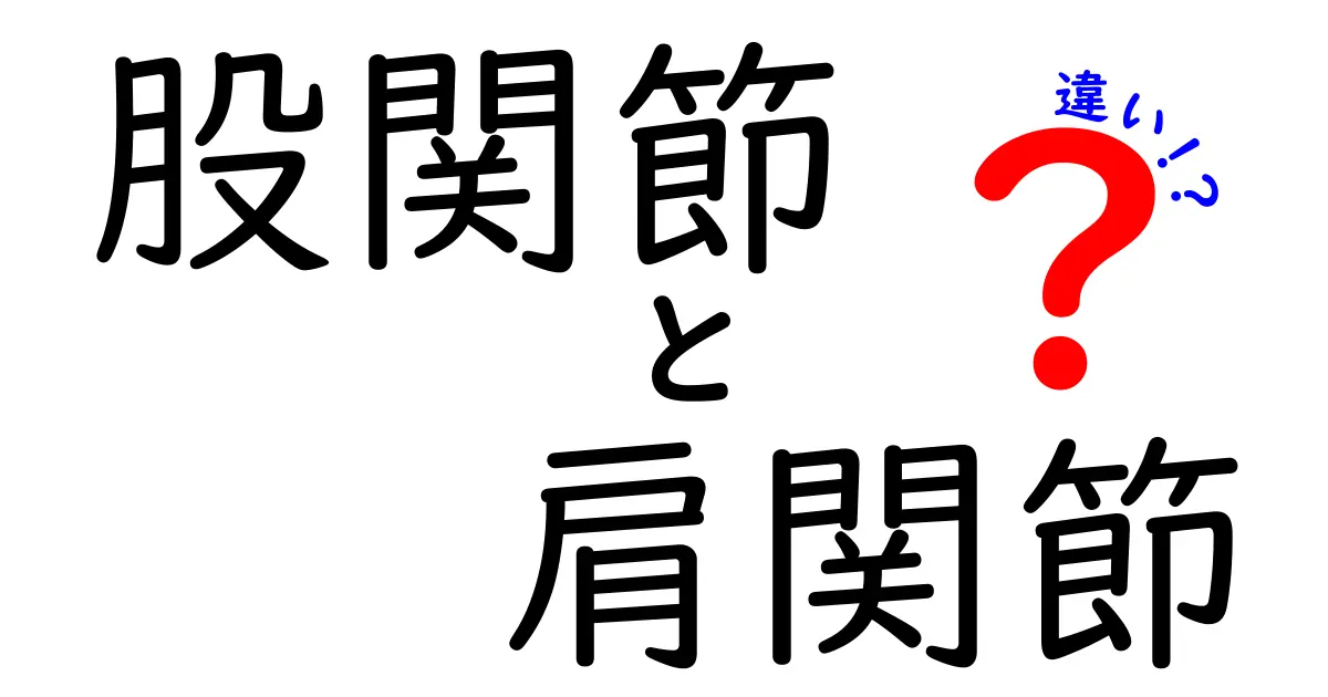 股関節と肩関節の違いを徹底解説！体の動きを支える2つの関節の秘密をわかりやすく理解しよう