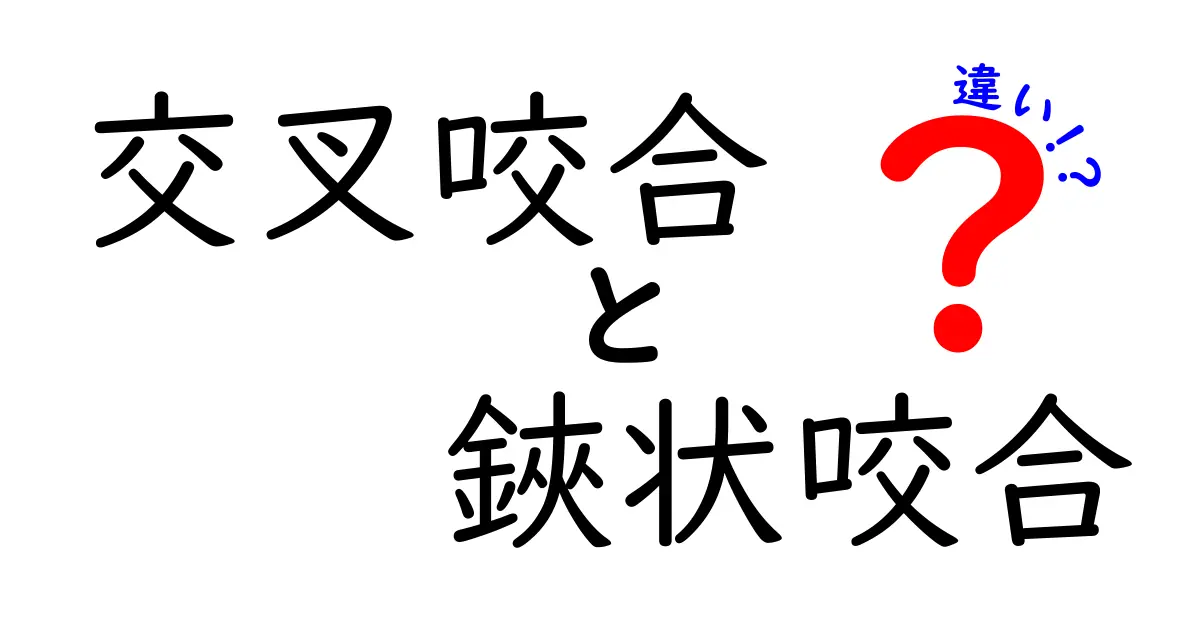 交叉咬合と鋏状咬合の違いをわかりやすく解説！中学生にも伝わるポイントを徹底比較