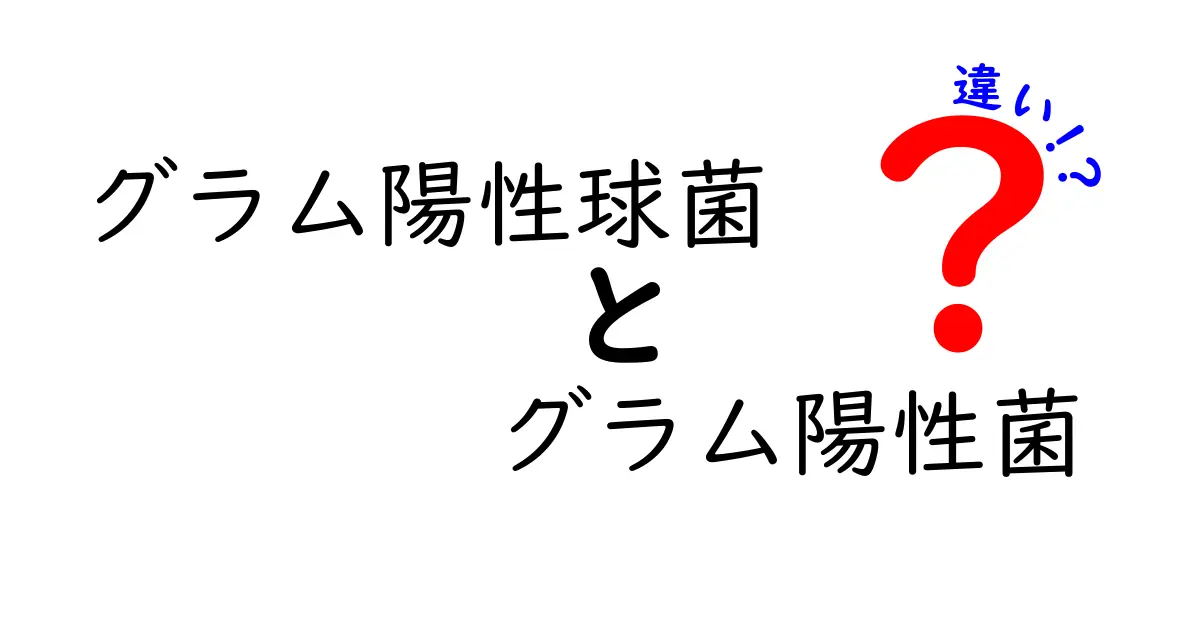 グラム陽性球菌とグラム陽性菌の違いを徹底解説 初心者でもつまずかない基礎と見分け方