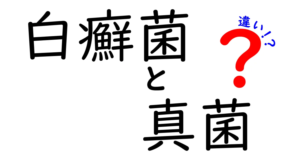 白癬菌と真菌の違いを徹底解説｜中学生にもわかる3つのポイントと身近な見分け方