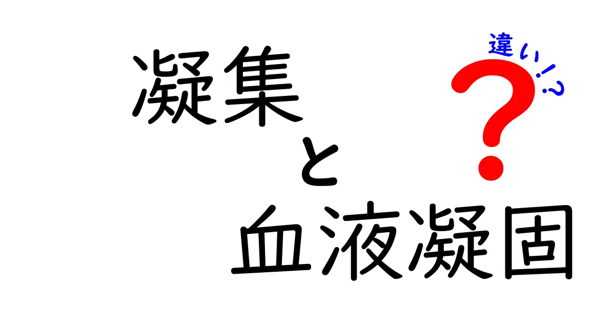 凝集と血液凝固の違いを徹底解説！血を止める2つの仕組みを中学生にもわかる言葉で