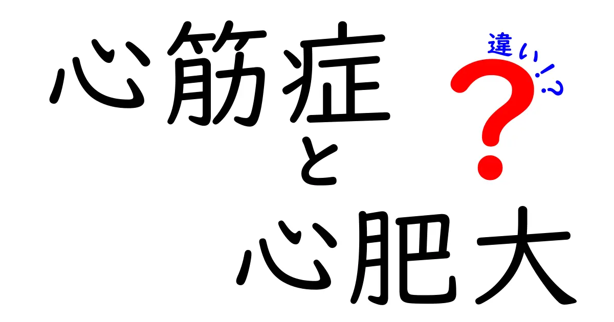 心筋症と心肥大の違いを今すぐ理解！医師が教える分かりやすいポイント