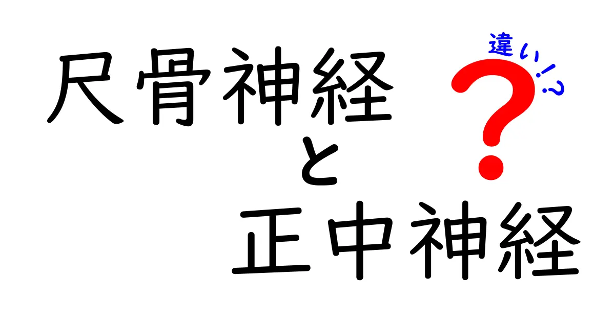 尺骨神経と正中神経の違いをわかりやすく解説！痛み・しびれの原因と見分け方
