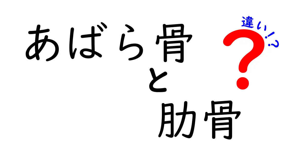 あばら骨と肋骨の違いを徹底解説！中学生にも分かる用語の意味と使い分け