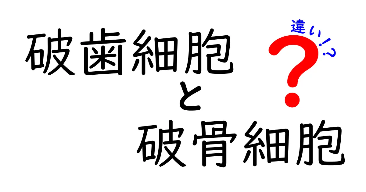 破歯細胞と破骨細胞の違いを徹底解説：歯と骨の健康を左右する2つの細胞