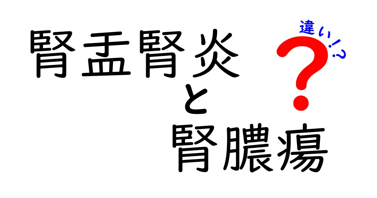 腎盂腎炎と腎膿瘍の違いを徹底解説｜症状・診断・治療のポイントを分かりやすく比較
