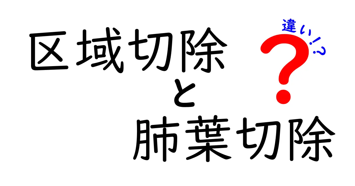 区域切除と肺葉切除の違いをわかりやすく解説！どっちを選ぶべき？